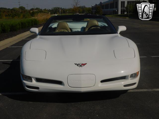 used 1998 Chevrolet Corvette car, priced at $20,000