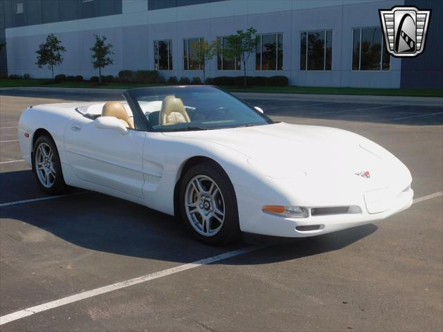 used 1998 Chevrolet Corvette car, priced at $20,000