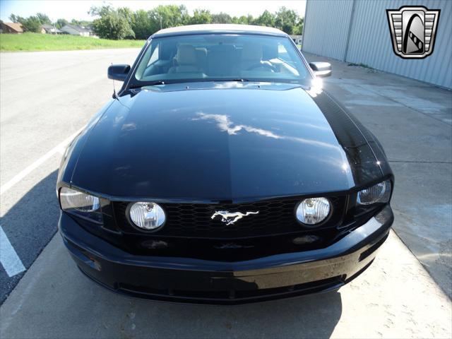 used 2006 Ford Mustang car, priced at $25,000