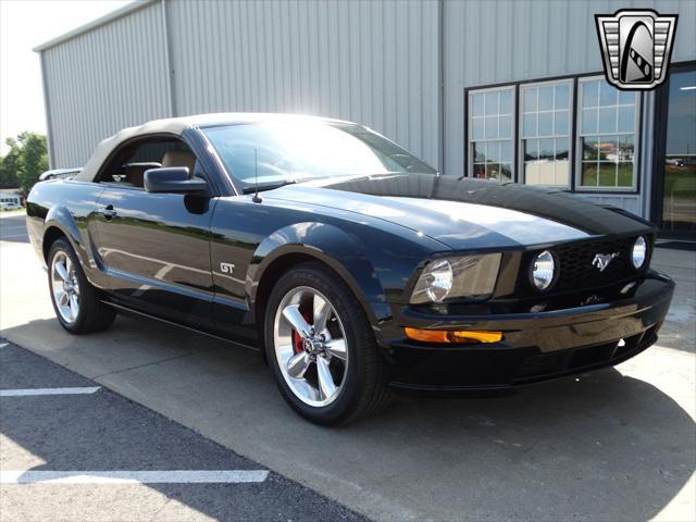 used 2006 Ford Mustang car, priced at $25,000