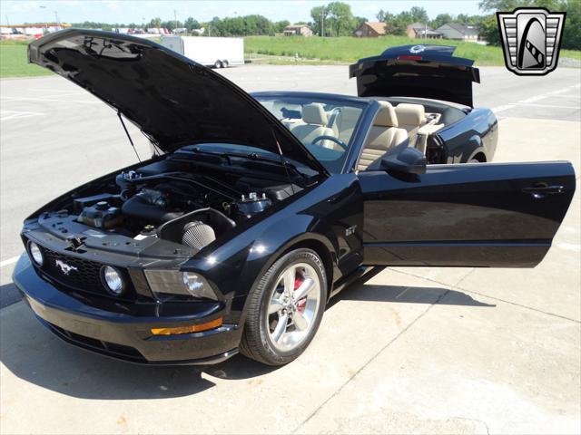 used 2006 Ford Mustang car, priced at $25,000