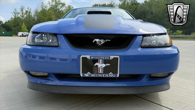 used 2004 Ford Mustang car, priced at $29,000