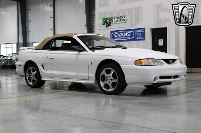 used 1996 Ford Mustang car, priced at $39,000