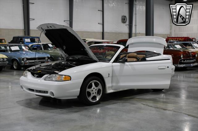 used 1996 Ford Mustang car, priced at $39,000