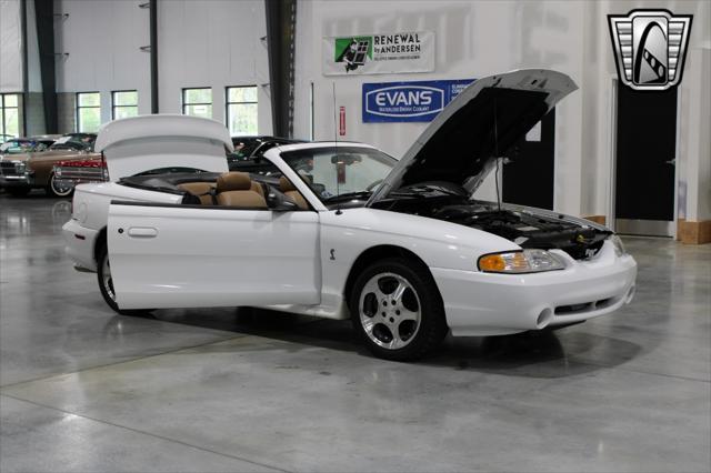 used 1996 Ford Mustang car, priced at $39,000
