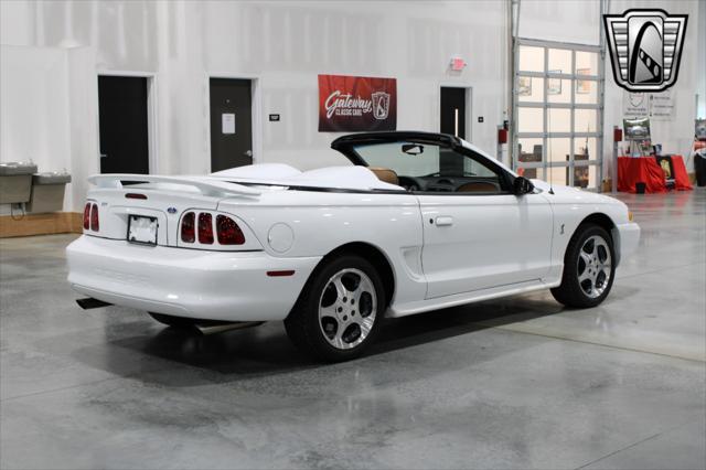 used 1996 Ford Mustang car, priced at $39,000