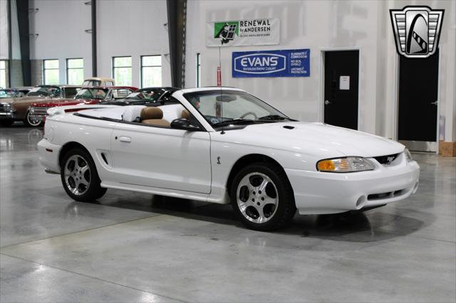 used 1996 Ford Mustang car, priced at $39,000