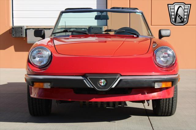 used 1988 Alfa Romeo Spider car, priced at $19,000