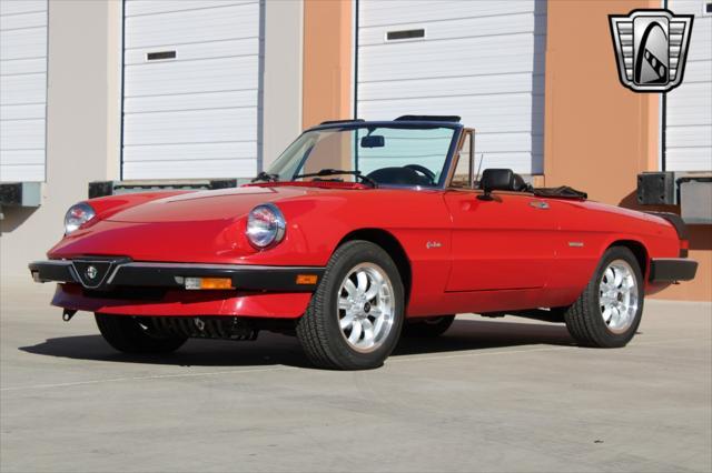 used 1988 Alfa Romeo Spider car, priced at $19,000