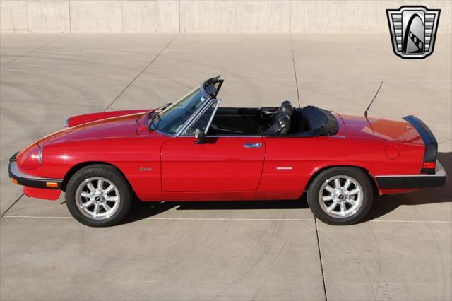 used 1988 Alfa Romeo Spider car, priced at $19,000