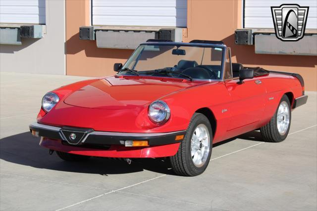 used 1988 Alfa Romeo Spider car, priced at $19,000