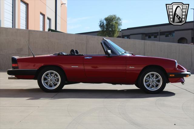 used 1988 Alfa Romeo Spider car, priced at $19,000