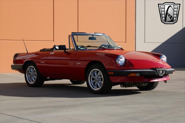 used 1988 Alfa Romeo Spider car, priced at $19,000