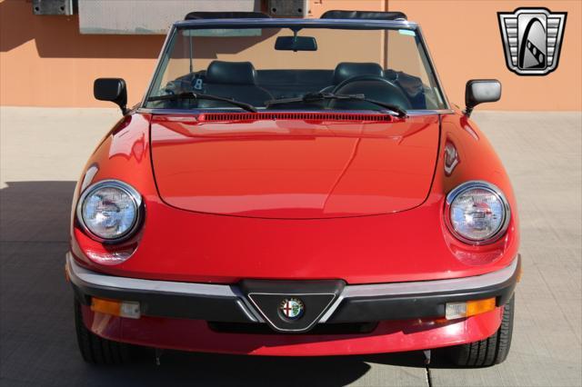 used 1988 Alfa Romeo Spider car, priced at $19,000