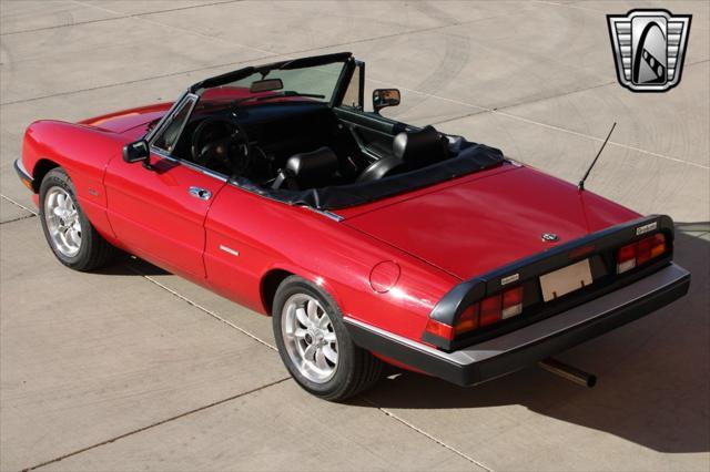 used 1988 Alfa Romeo Spider car, priced at $19,000