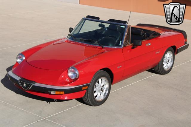 used 1988 Alfa Romeo Spider car, priced at $19,000