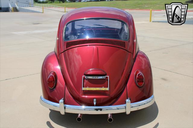 used 1966 Volkswagen Beetle (Pre-1980) car, priced at $22,500