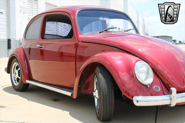 used 1966 Volkswagen Beetle (Pre-1980) car, priced at $22,500