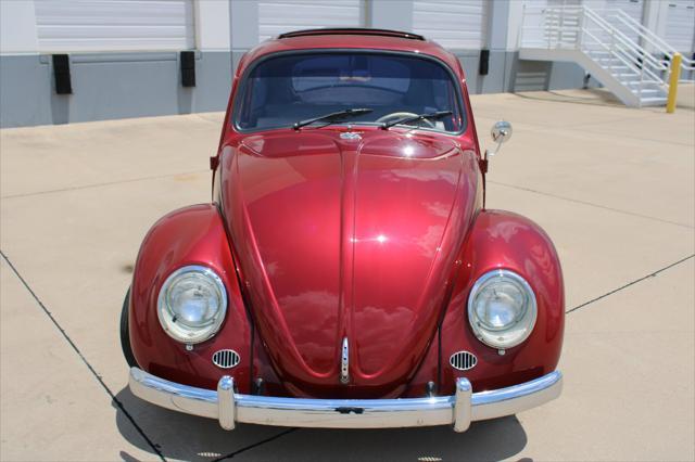 used 1966 Volkswagen Beetle (Pre-1980) car, priced at $22,500