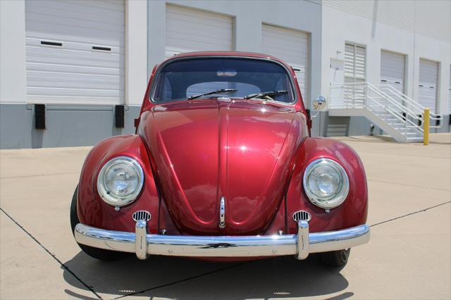 used 1966 Volkswagen Beetle (Pre-1980) car, priced at $22,500