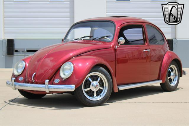 used 1966 Volkswagen Beetle (Pre-1980) car, priced at $22,500