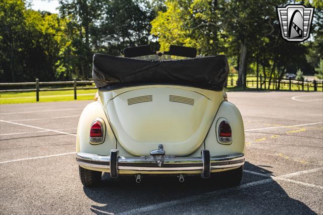 used 1969 Volkswagen Beetle (Pre-1980) car, priced at $17,000