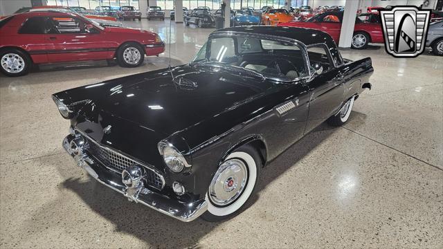 used 1955 Ford Thunderbird car, priced at $39,000