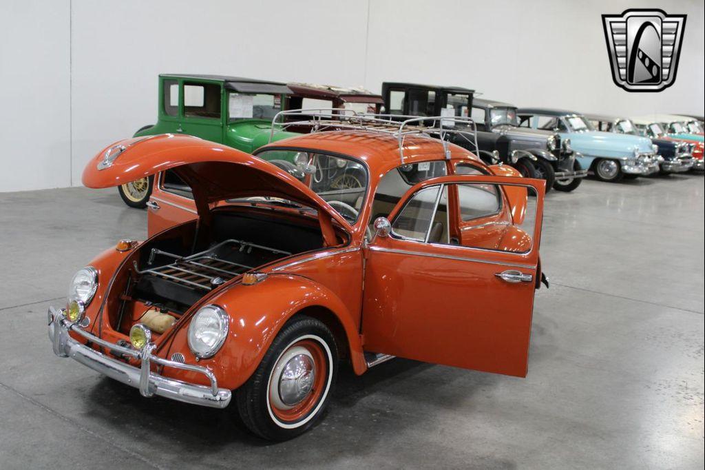 used 1965 Volkswagen Beetle (Pre-1980) car, priced at $24,000