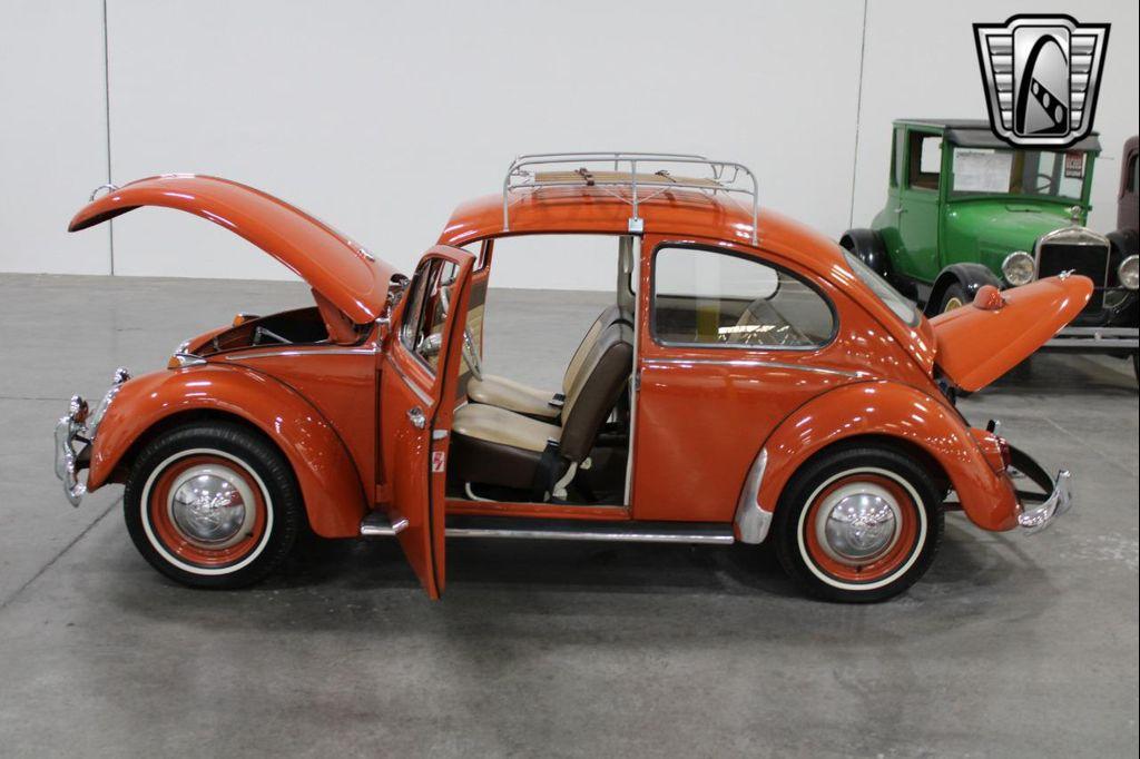used 1965 Volkswagen Beetle (Pre-1980) car, priced at $24,000