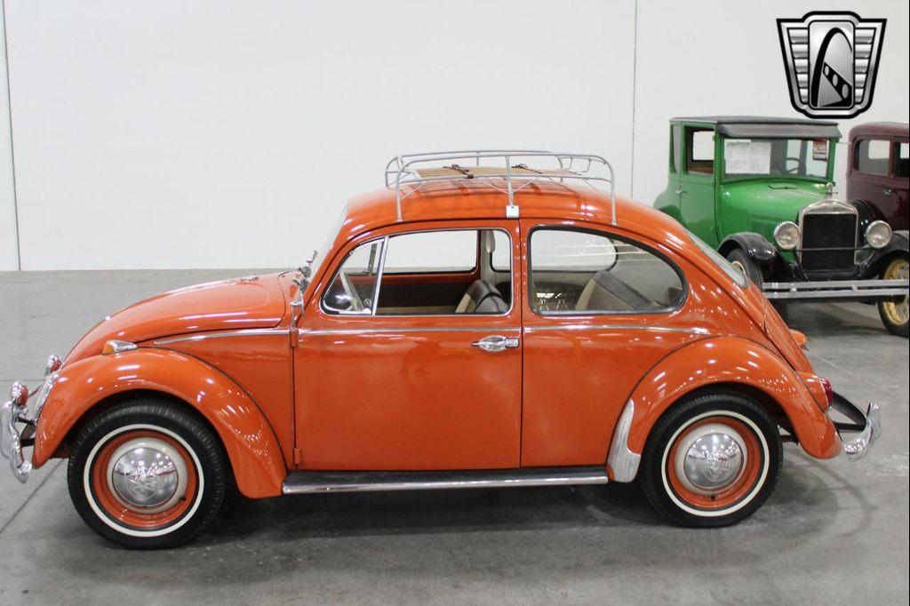 used 1965 Volkswagen Beetle (Pre-1980) car, priced at $24,000
