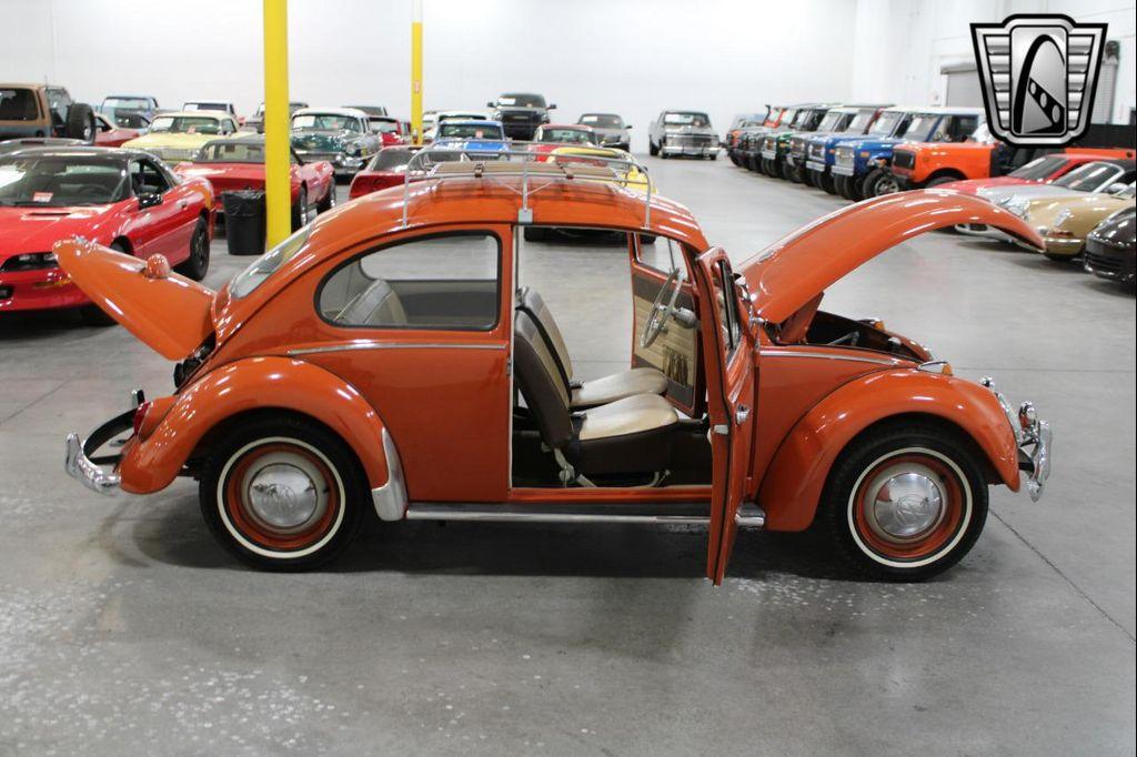 used 1965 Volkswagen Beetle (Pre-1980) car, priced at $24,000