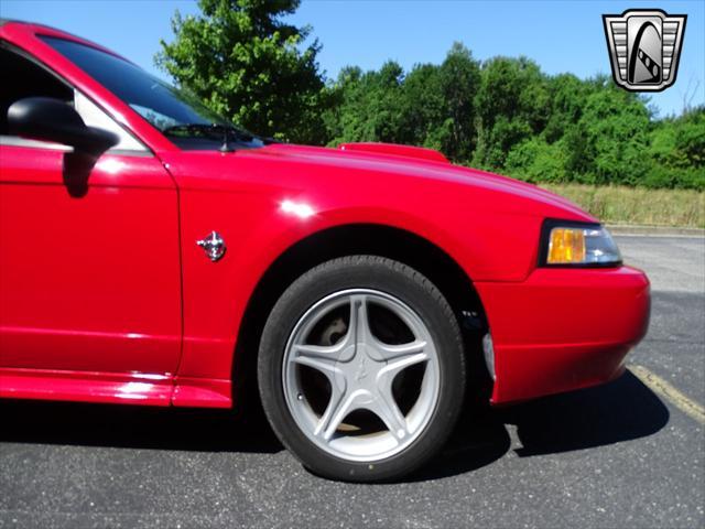 used 1999 Ford Mustang car, priced at $20,000