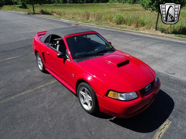 used 1999 Ford Mustang car, priced at $20,000