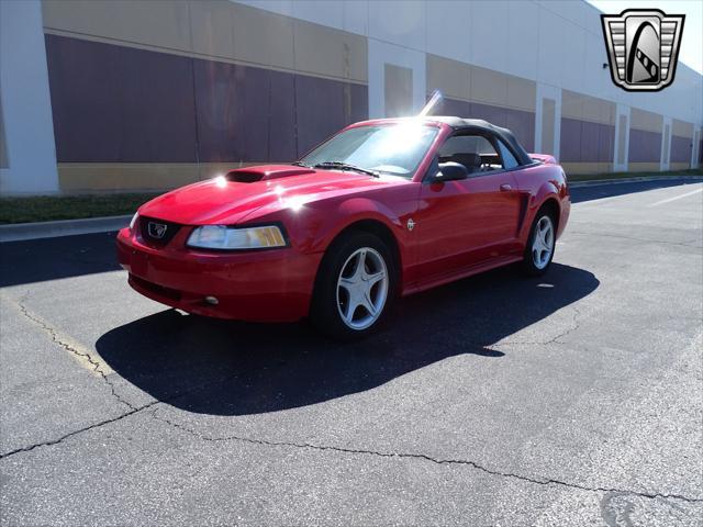 used 1999 Ford Mustang car, priced at $20,000