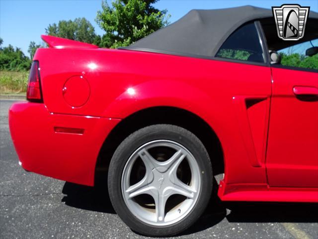 used 1999 Ford Mustang car, priced at $20,000