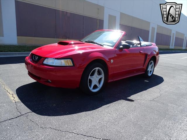 used 1999 Ford Mustang car, priced at $20,000