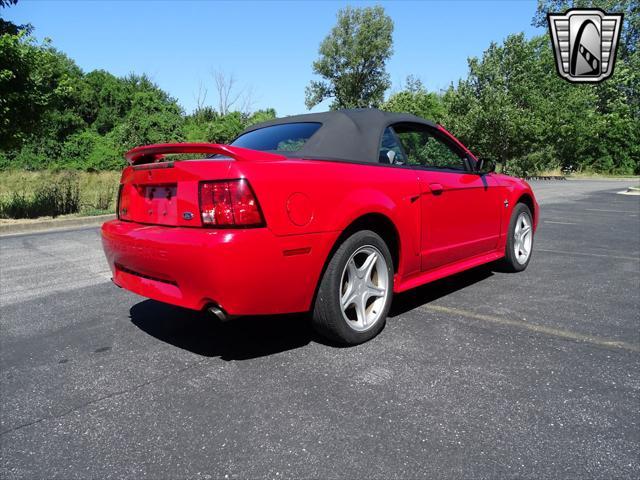 used 1999 Ford Mustang car, priced at $20,000