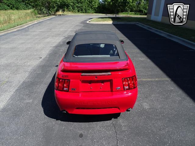 used 1999 Ford Mustang car, priced at $20,000