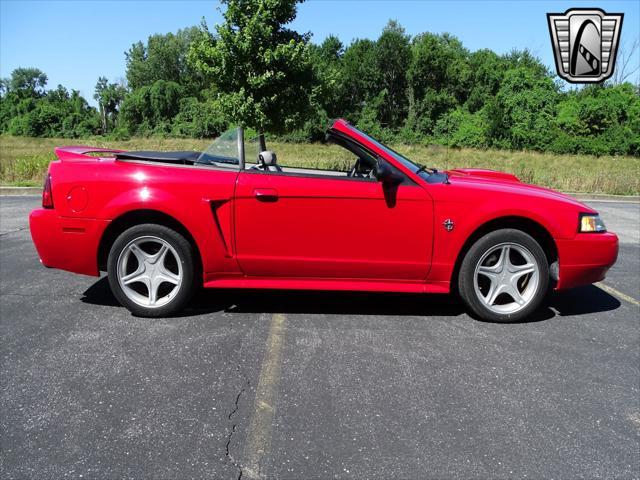 used 1999 Ford Mustang car, priced at $20,000