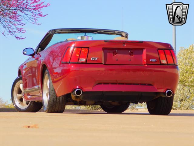 used 2004 Ford Mustang car, priced at $15,000
