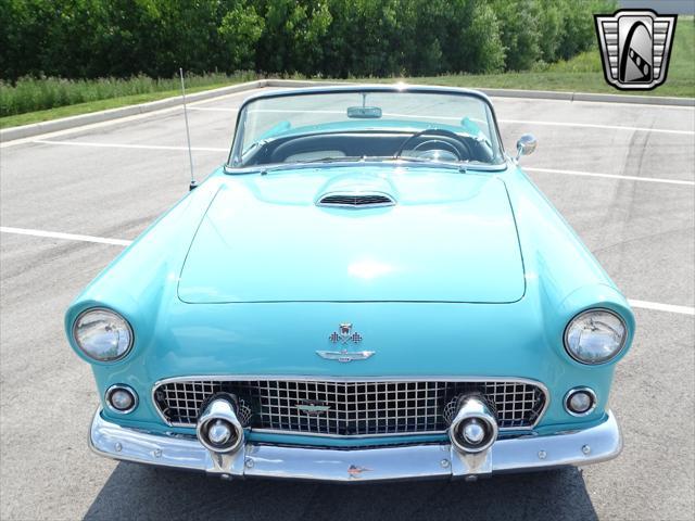 used 1955 Ford Thunderbird car, priced at $55,000