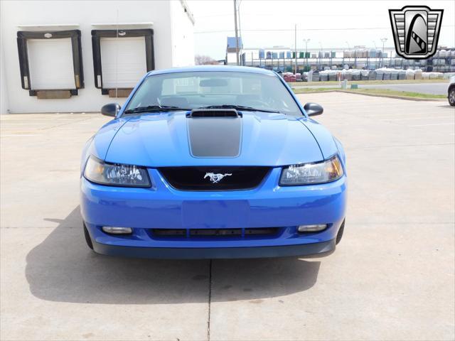 used 2003 Ford Mustang car, priced at $29,000