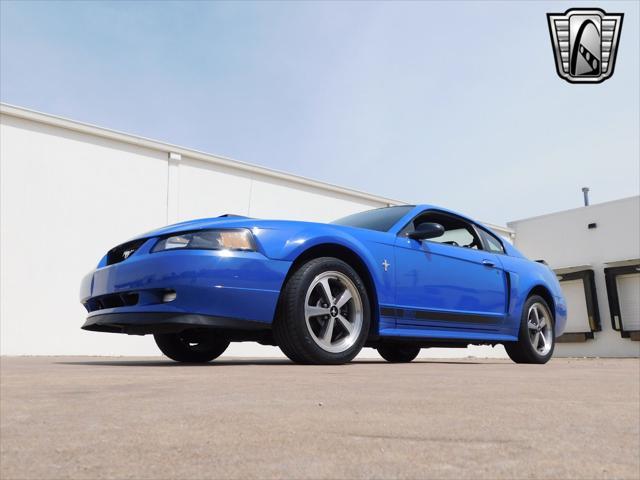 used 2003 Ford Mustang car, priced at $29,000