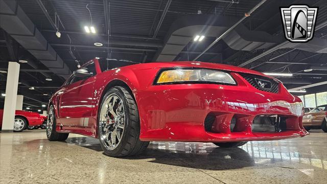 used 2000 Ford Mustang car, priced at $34,000