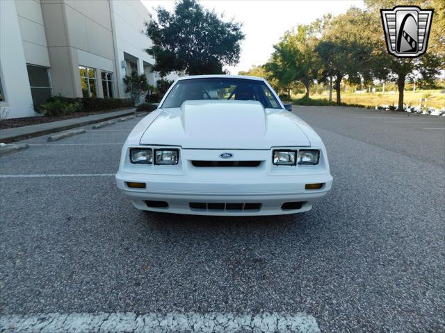 used 1986 Ford Mustang car, priced at $38,000