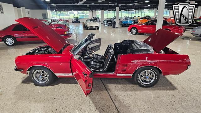 used 1967 Ford Mustang car, priced at $45,000