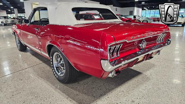 used 1967 Ford Mustang car, priced at $45,000