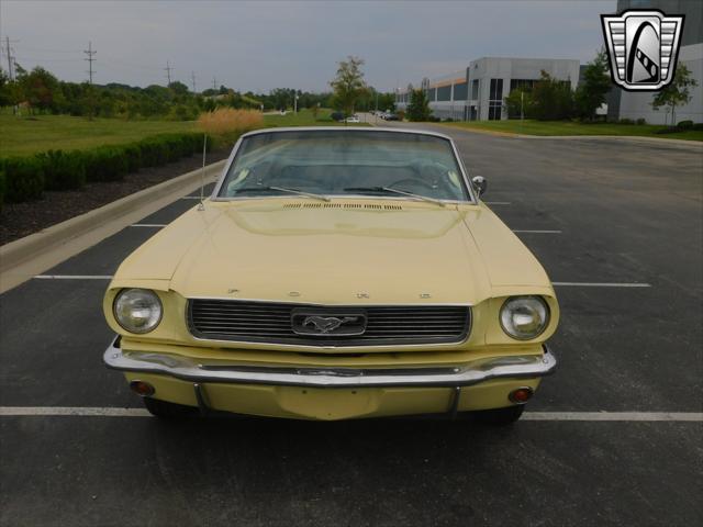 used 1966 Ford Mustang car, priced at $42,000