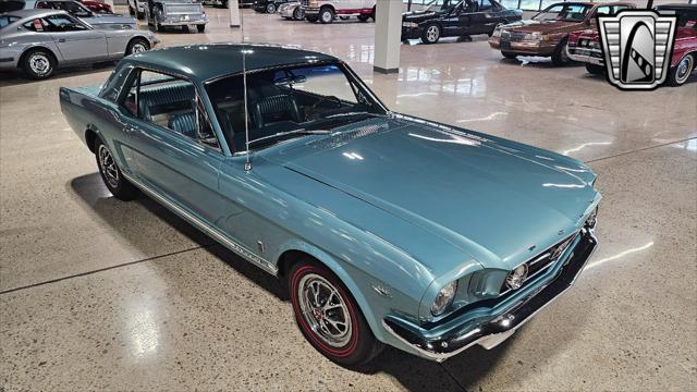 used 1966 Ford Mustang car, priced at $49,000