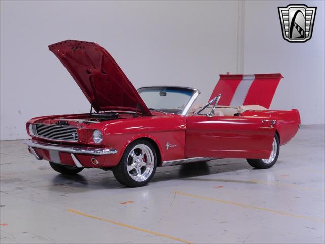 used 1966 Ford Mustang car, priced at $40,000